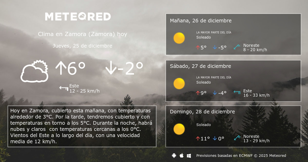 Clima en Zamora (Zamora). El tiempo a 14 días Meteored